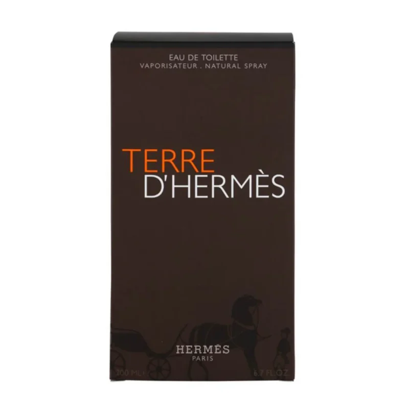 Hermes Terre D'Hermes EDT For Men 100ML - Image 2